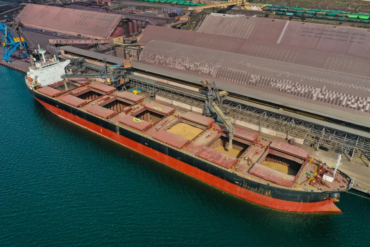 Accordo salva carestia: le navi di cereali di nuovo sul Mar Nero?