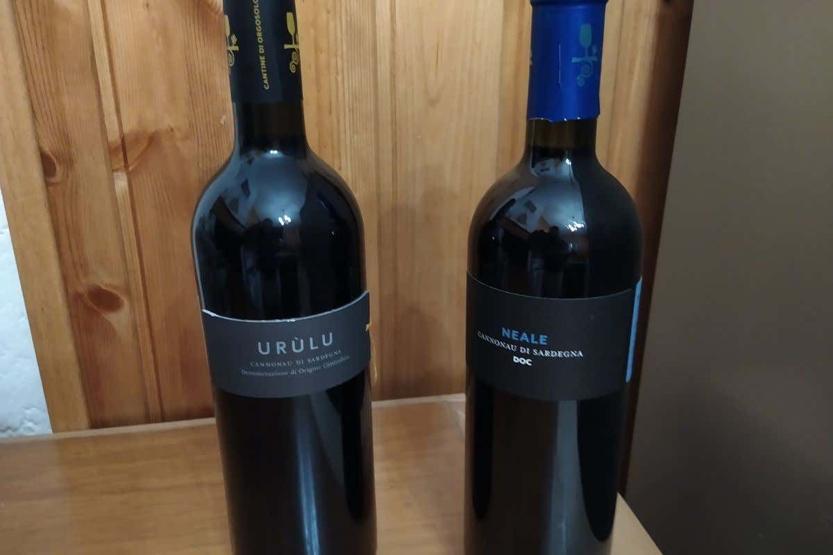 La forza e l'orgoglio dei vini delle cooperative di Orgosolo e Alghero