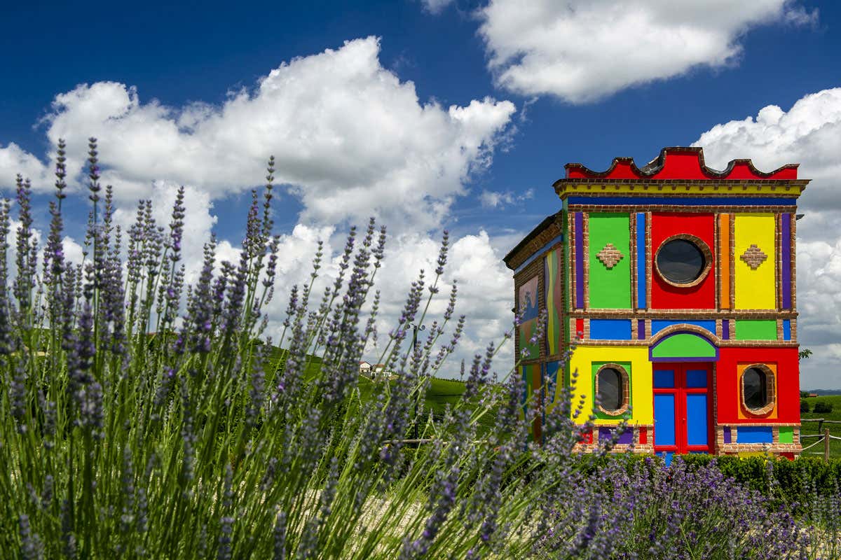 MetodoContemporaneo: il primo osservatorio italiano su arti e paesaggio vitivinicolo
MetodoContemporaneo: il primo osservatorio italiano su arti e paesaggio vitivinicolo