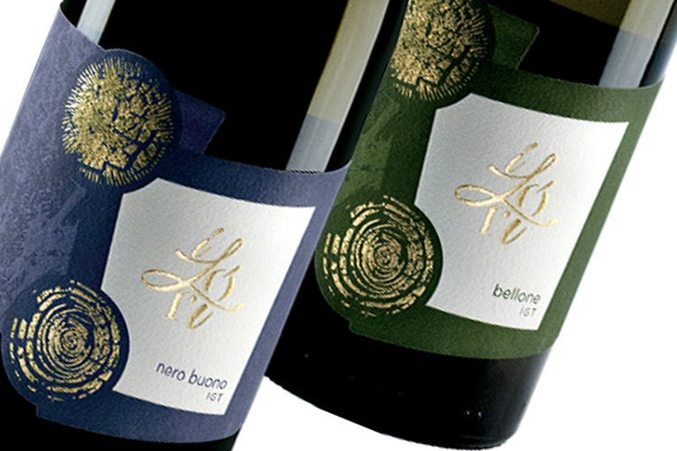 Il Nero Buono prodotto da vitigno autoctono Il Nero Buono delle Colline Pontine La resistenza dei piccoli viticoltori