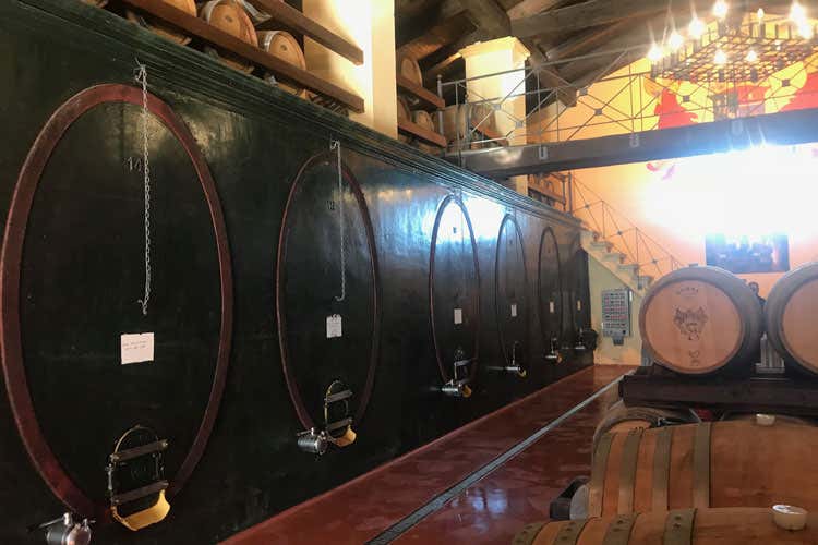 Le botti della cantina pugliese (Con 23 Settembre, il Nero di Troia Castel del Monte Doc si riscatta)