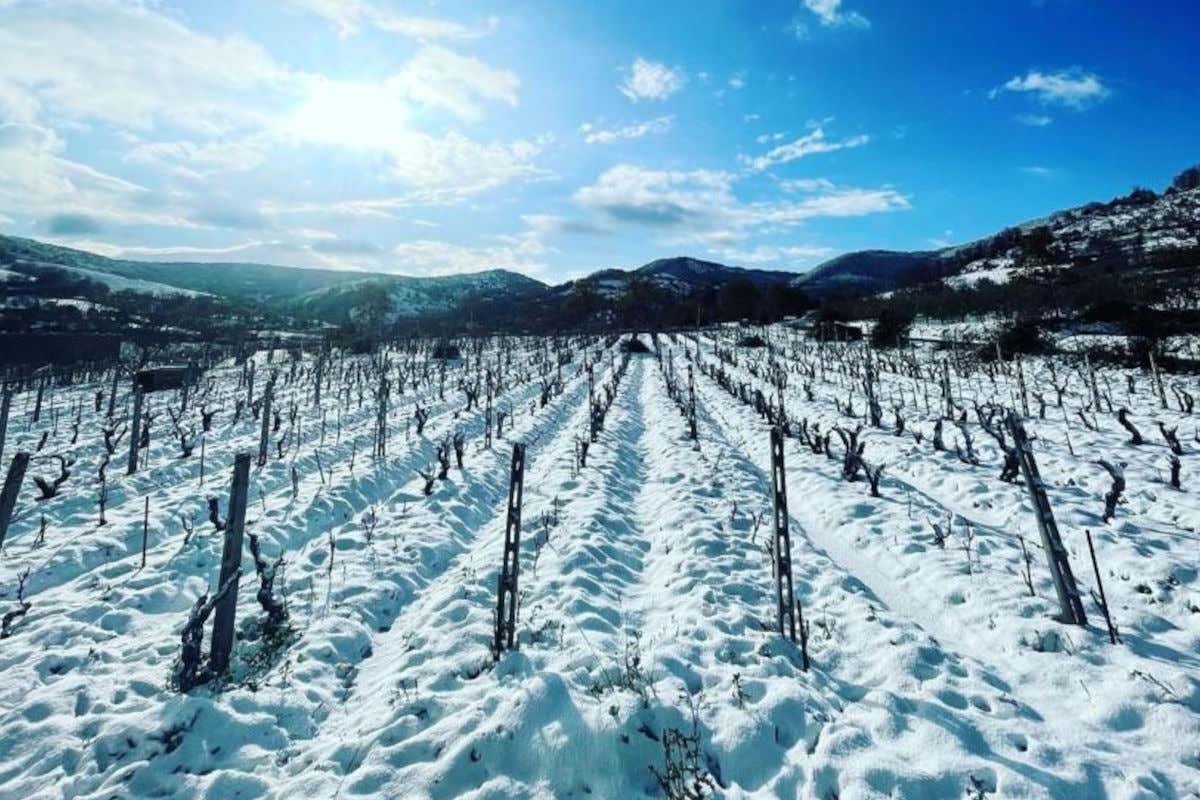 L’arrivo della neve salva i campi dalla siccità