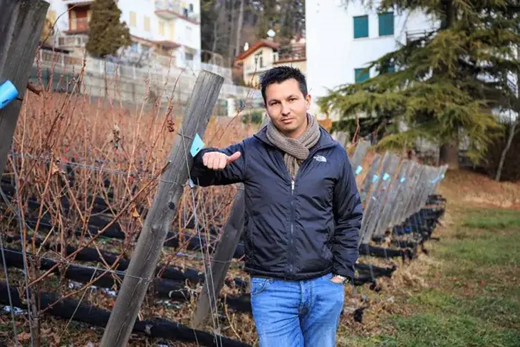 Nicola Biasi nel vigneto di famiglia a Coredo (Tn) Nicola Biasi vince la scommessa del biologico con il Vin de la Neu