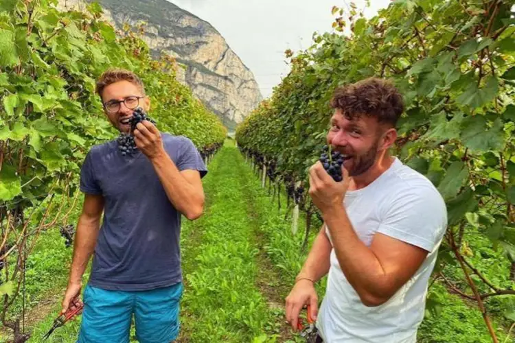Nicol&ograve; Panizza e Andrea Nardin&nbsp; Vini e vignaioli d'Italia, San Leonardo e Lagrein Taber superstar