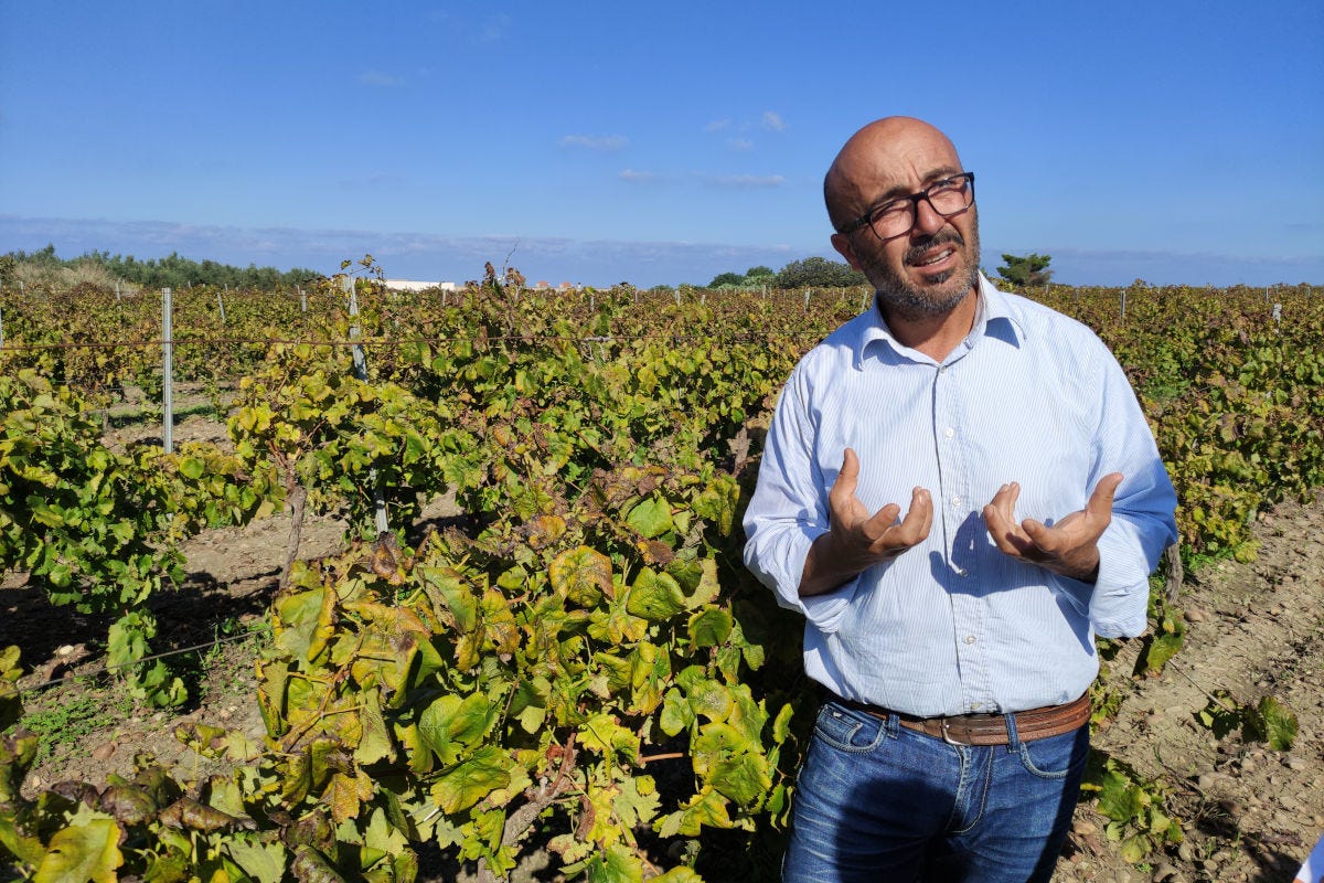 Nino Barraco, titolare dell'Azienda Agricola Barraco Vino Perpetuo e “pesce povero”: così la Sicilia rilancia i suoi tesori