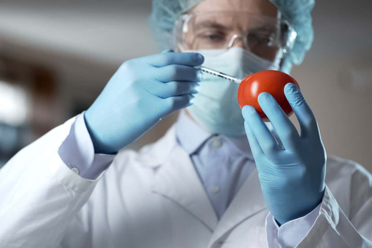 Nitriti e nitrati, stretta dell'Ue sull'utilizzo negli alimenti