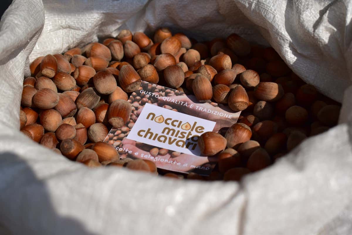 Ecco come il progetto Genova Gourmet sta valorizzando le eccellenze liguri Ecco come il progetto Genova Gourmet sta valorizzando le eccellenze liguri