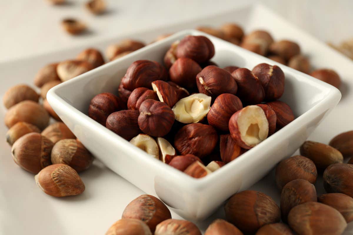 Cosa sapere sulle nocciole: proprietà, benefici e controindicazioni