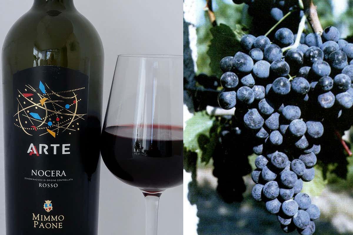 La bottiglia con l'uva da cui nasce Un prezioso Nocera Doc nasce da... l'Arte di Mimmo Paone