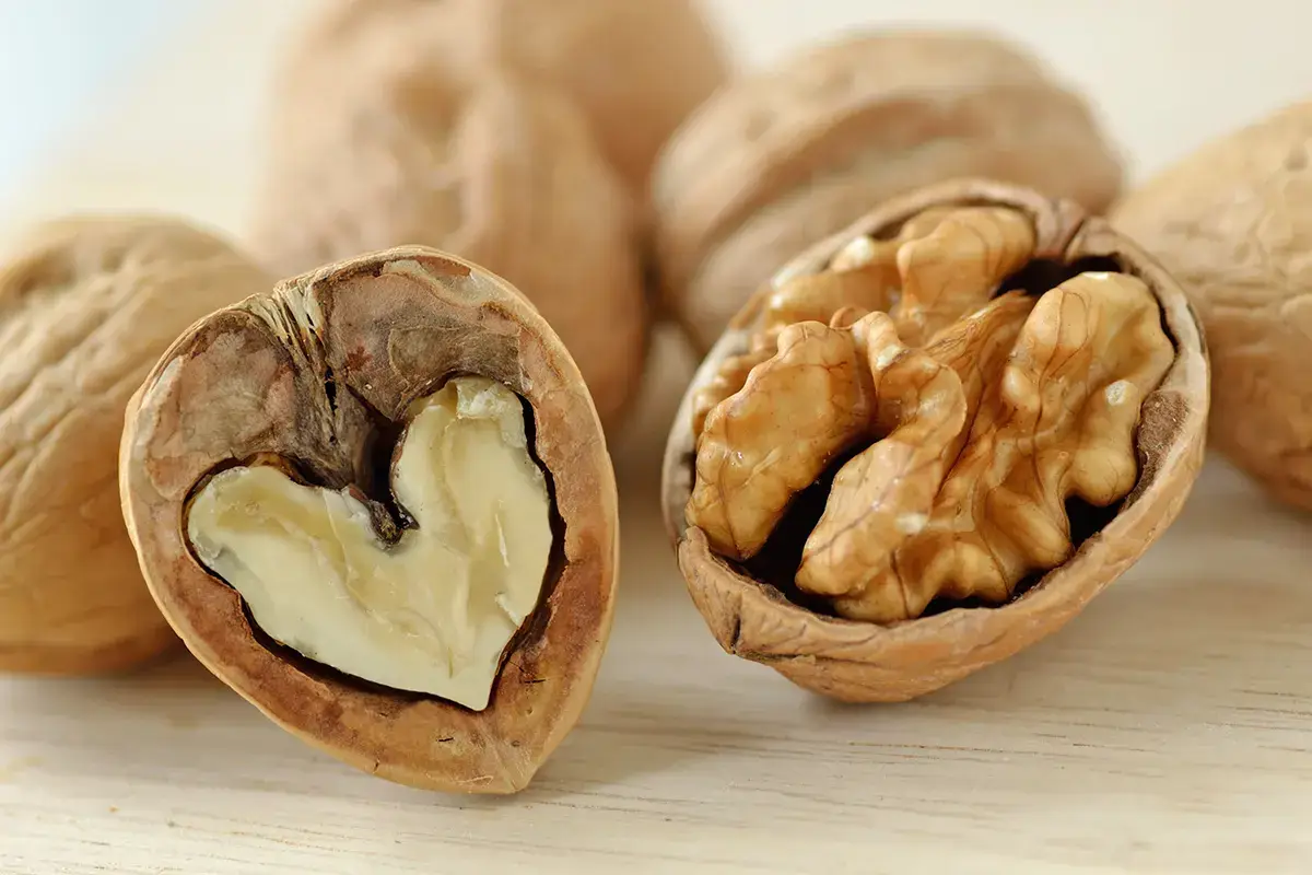 Esami di maturità: i superfood per migliorare concentrazione e memoria
