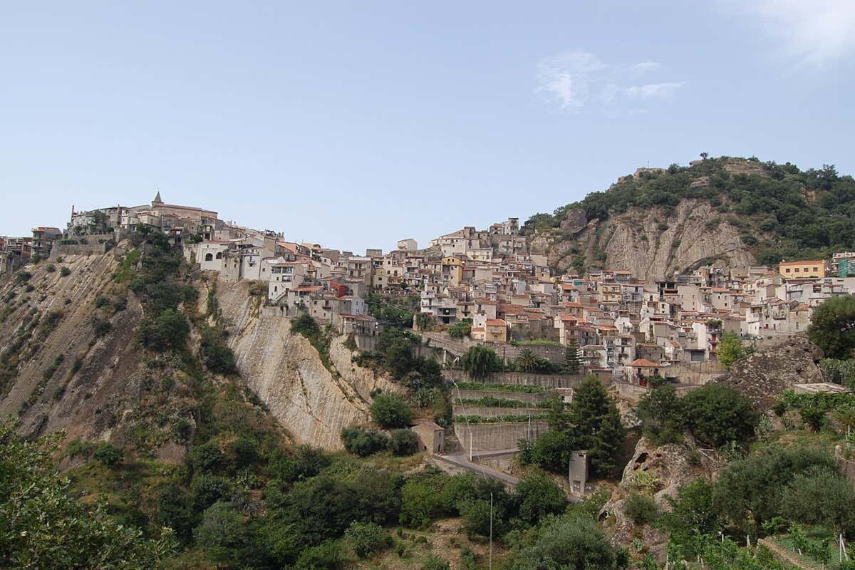 A Motta Camastra cresce una noce unica al mondo: ecco perché è così speciale A Motta Camastra cresce una noce unica al mondo: ecco perché è così speciale