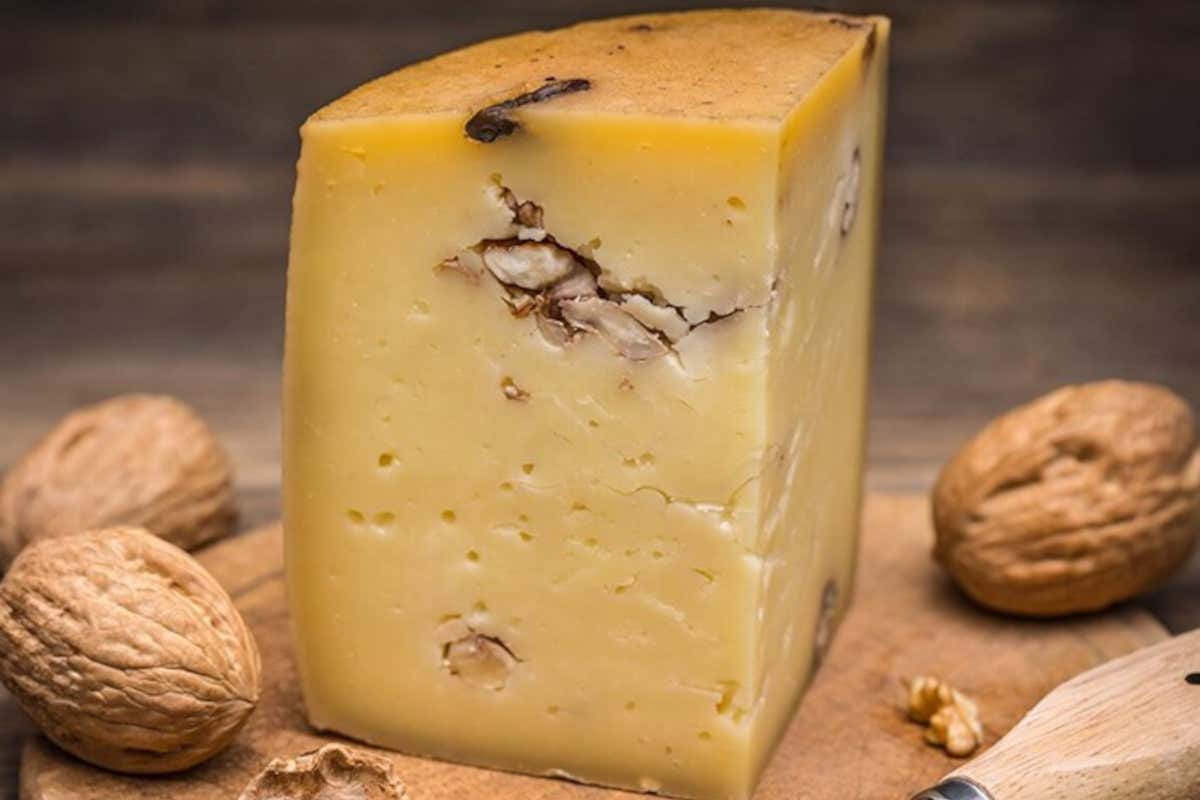 A Motta Camastra cresce una noce unica al mondo: ecco perché è così speciale A Motta Camastra cresce una noce unica al mondo: ecco perché è così speciale