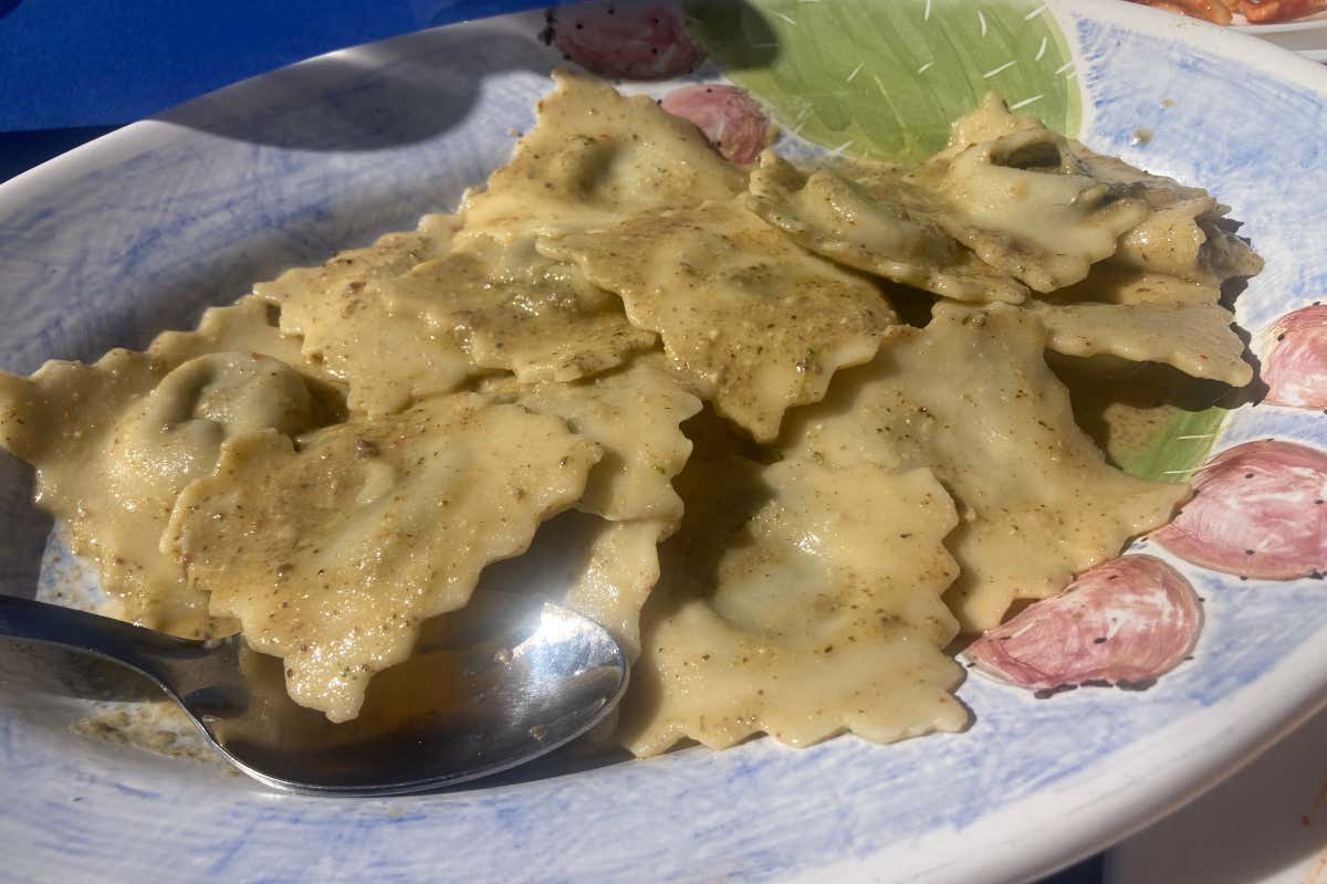 A Motta Camastra cresce una noce unica al mondo: ecco perché è così speciale A Motta Camastra cresce una noce unica al mondo: ecco perché è così speciale