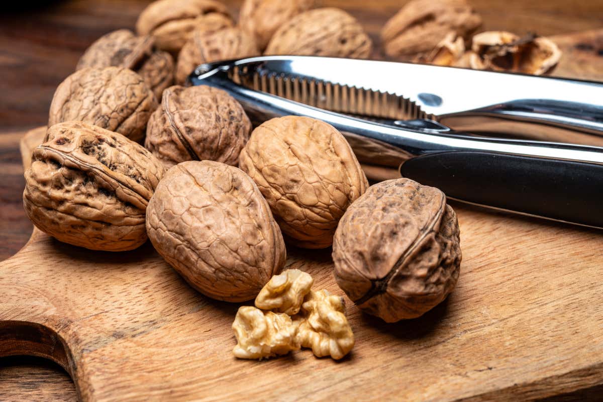 Cosa sapere sulle noci: storia, proprietà e come usarle in cucina