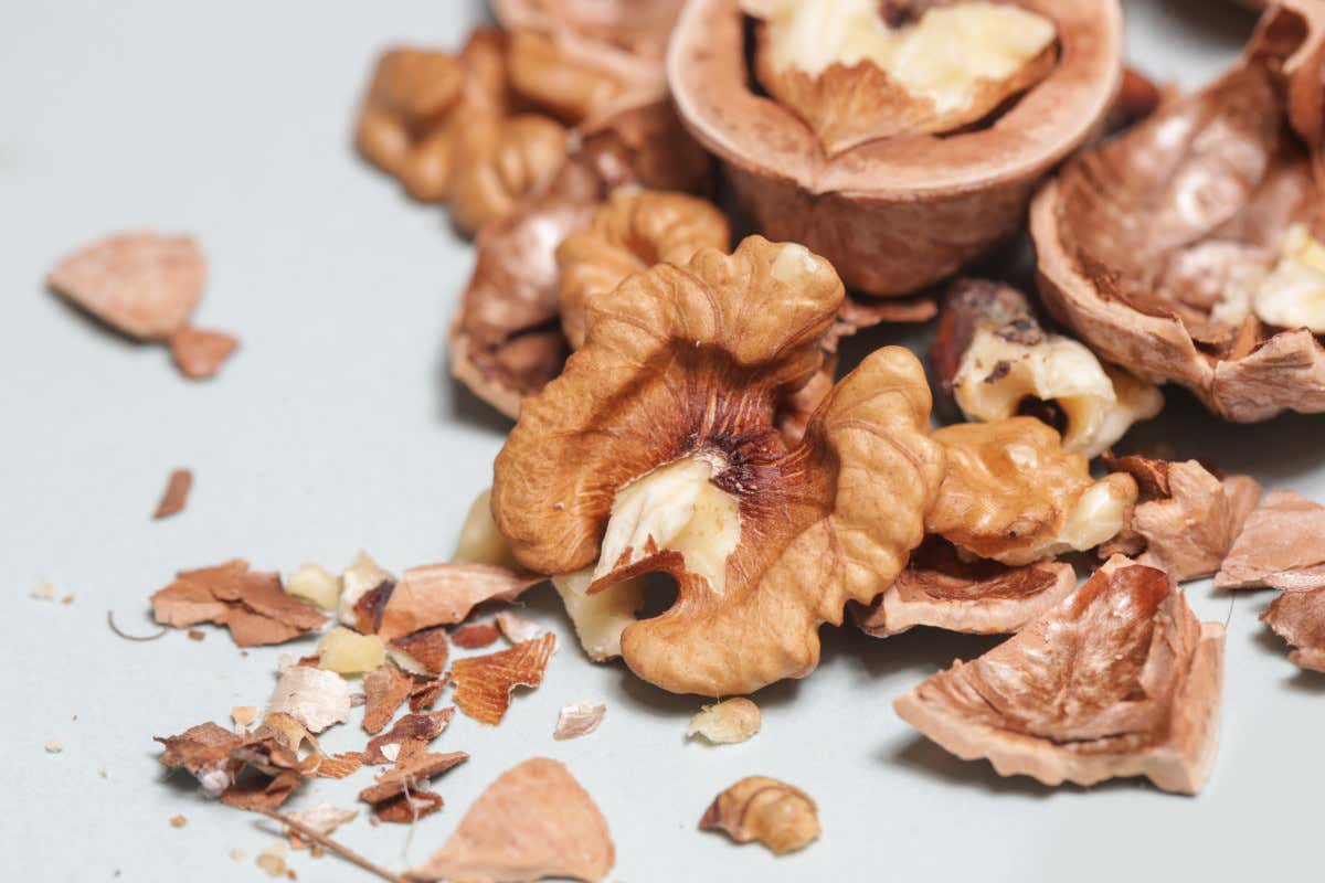 Cosa sapere sulle noci: storia, proprietà e come usarle in cucina