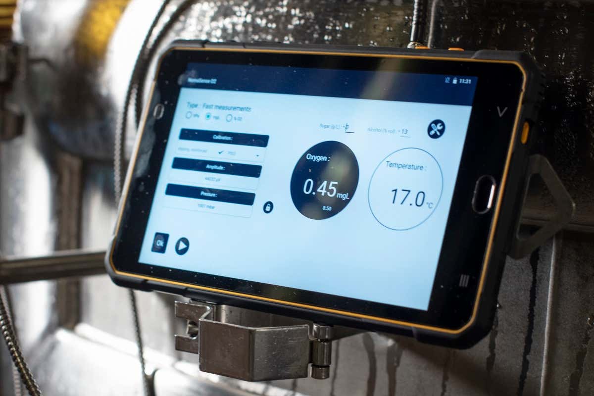 Enology Portal: quando i dati di cantina diventano guida per gli enologi