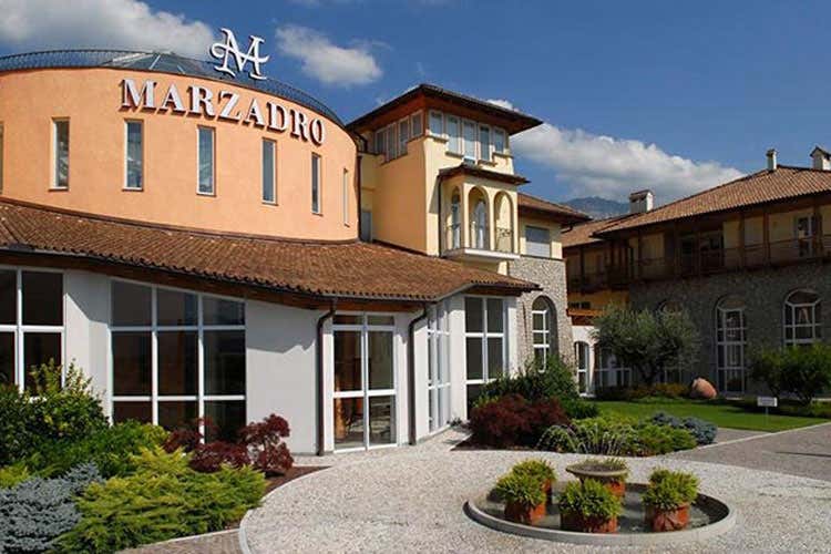 (Non solo distillati per Marzadro Con i 70 anni, arriva anche l'olio evo) (Non solo distillati per Marzadro Con i 70 anni, arriva anche l'olio evo)
