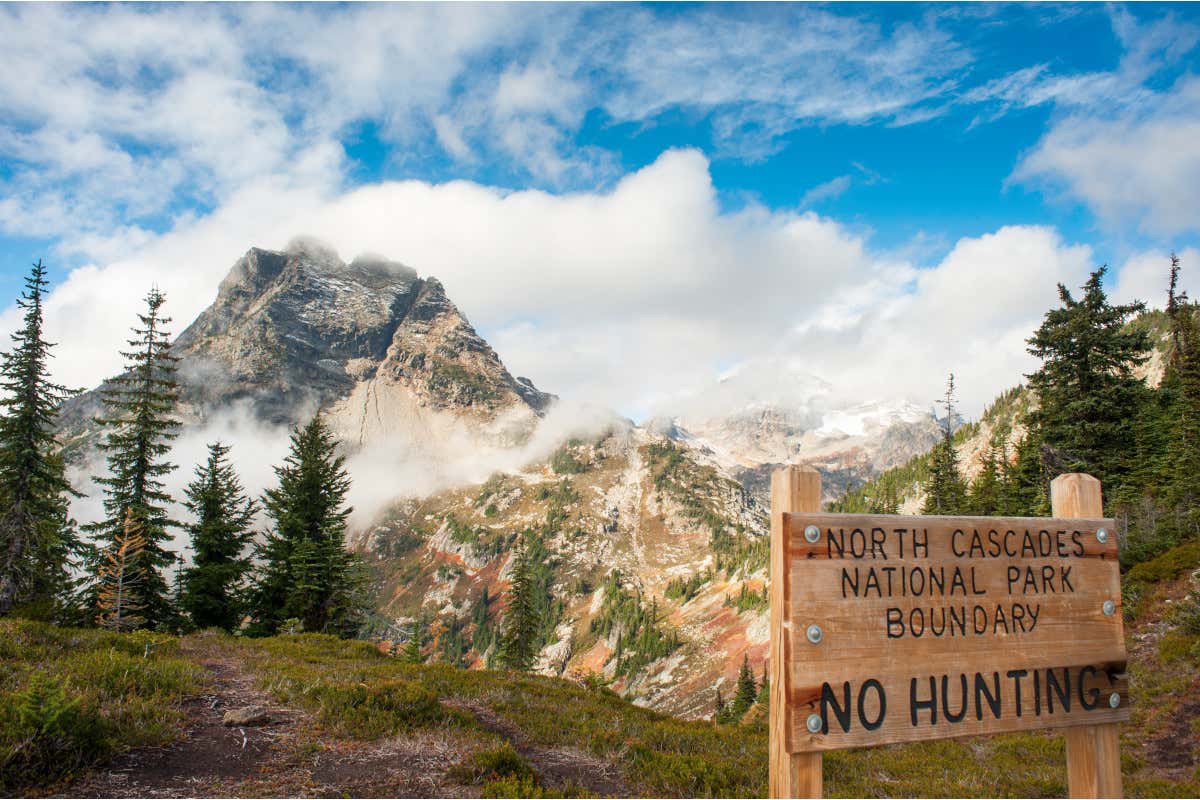 North Cascades National Park Non solo Yellowstone: ecco sei parchi naturali da scoprire negli USA