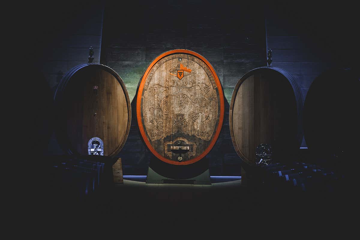 Il Filo che unisce gusto e territorio nei vini di Castel Firmian Il Filo che unisce gusto e territorio nei vini di Castel Firmian