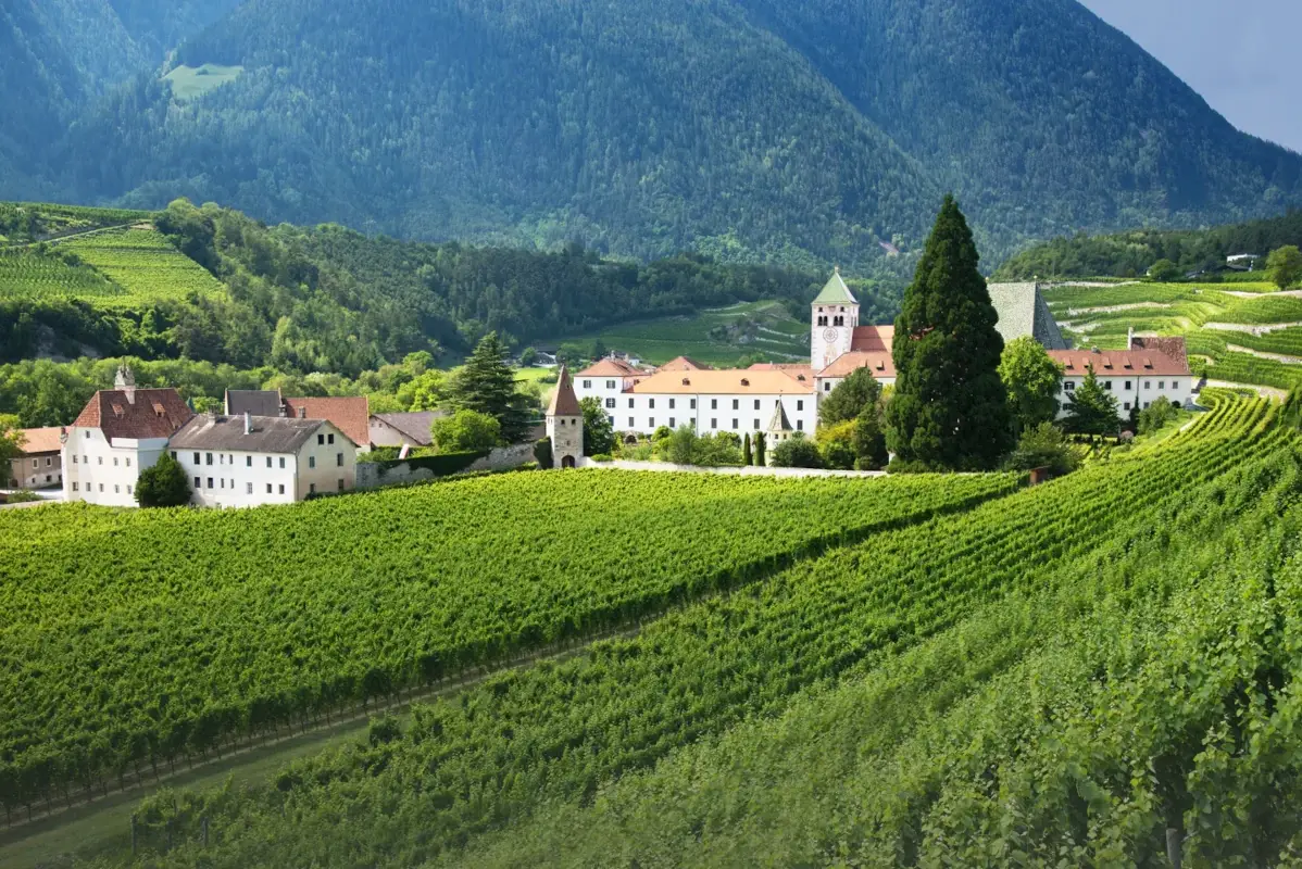 I 150 vigneti più belli del mondo: 15 sono italiani