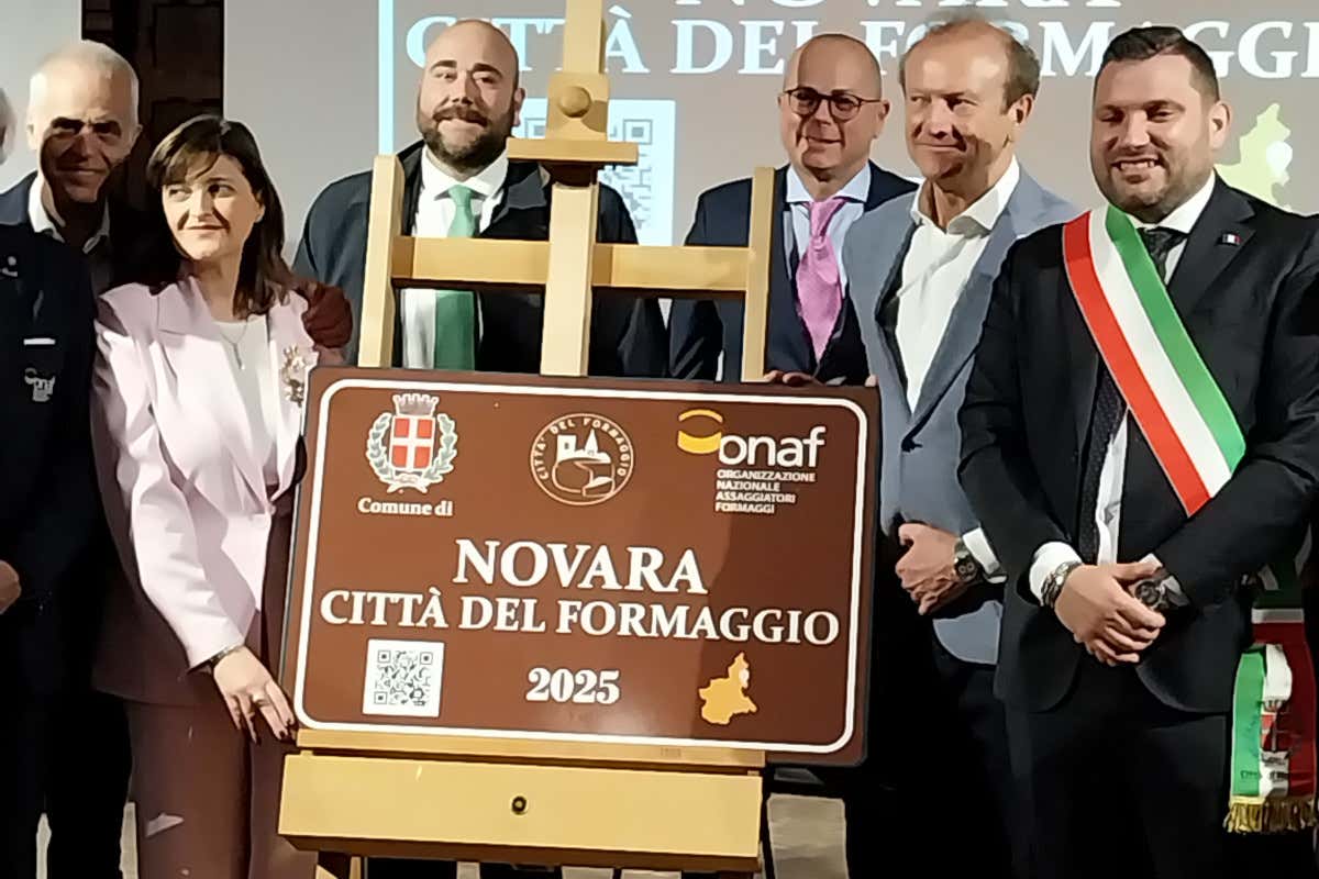 Novara e Gorgonzola riconosciute come “Città del formaggio 2025” Novara e Gorgonzola riconosciute come “Città del formaggio 2025”