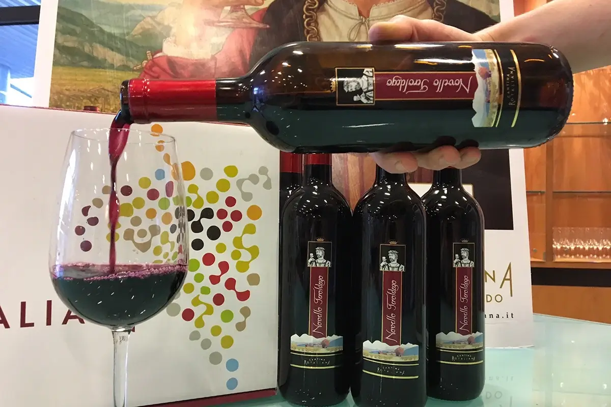 Il novello &egrave; fresco, giovane, fruttato, accattivante&nbsp; In attesa del Beaujolais Noveau francese noi brindiamo col Novello di Teroldego