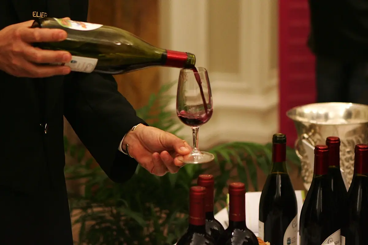 Il Teroldego &egrave; il vitigno ideale In attesa del Beaujolais Noveau francese noi brindiamo col Novello di Teroldego