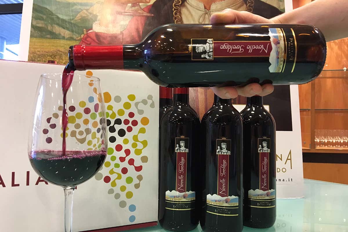 Il novello &egrave; fresco, giovane, fruttato, accattivante&nbsp; In attesa del Beaujolais Noveau francese noi brindiamo col Novello di Teroldego