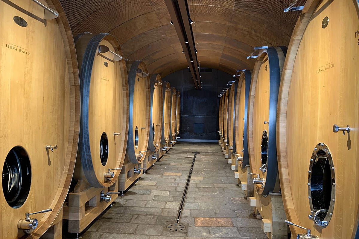 The new cellar of Castel Ringberg Alto Adige: the matriarchy of Casa Walch