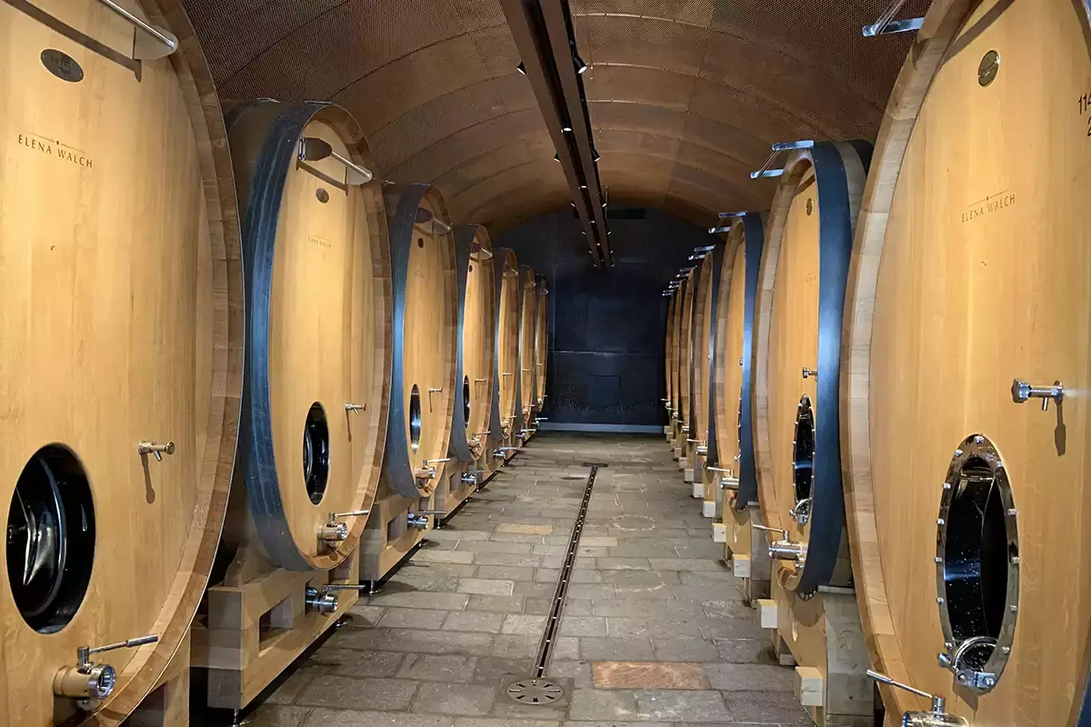 La nuova cantina di Castel Ringberg Alto Adige: il matriarcato di Casa Walch