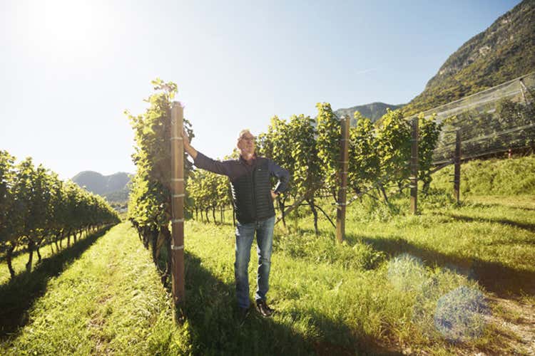 (La nuova edizione di Appius debutta al Merano WineFestival)