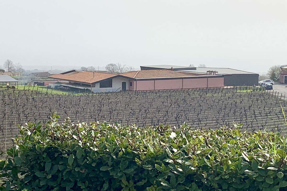 Murgo amplia la cantina sull’Etna e presenta nuove etichette 