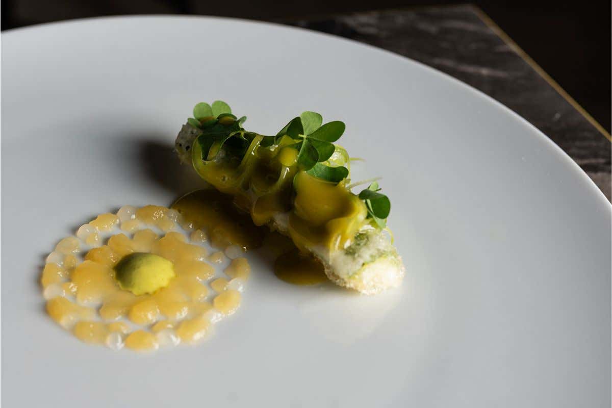 Simone Lezzerini: il 