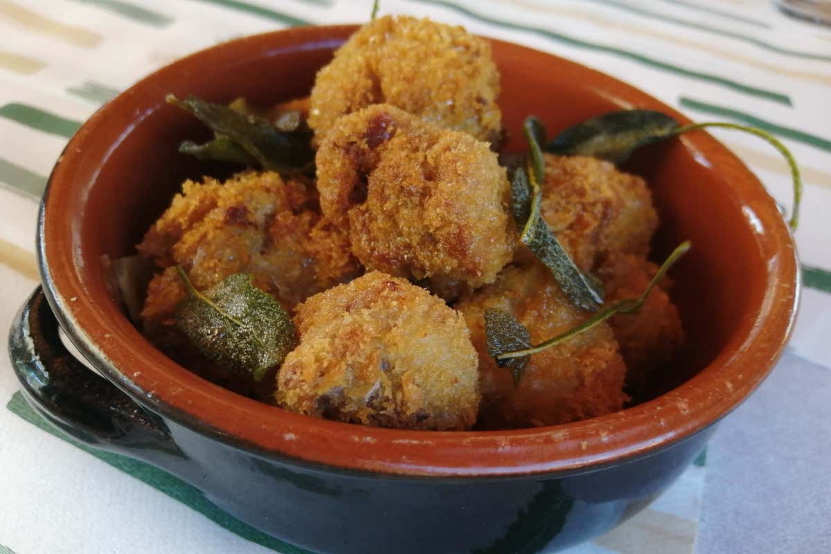 Dentro l’Oasi Kadir, la fattoria (con ristorante) di una famiglia libica a Roma Dentro l’Oasi Kadir, la fattoria (con ristorante) di una famiglia libica a Roma