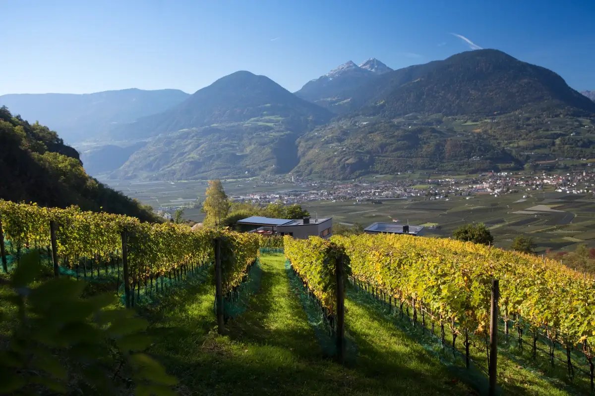 Tenuta vinicola Eichenstein Wine resort per godersi l'autunno e la vendemmia. Ecco alcuni dei pi&ugrave; romantici