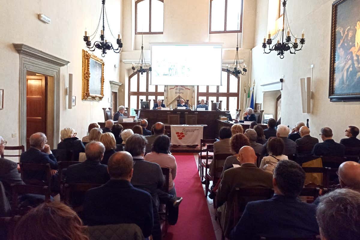 Cent'anni di Oiv con l'Italia protagonista della viticoltura mondiale