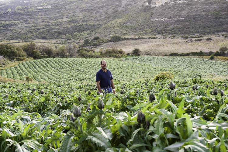 (Oli, vino e sottoli Pinna Il cuore buono della Sardegna)