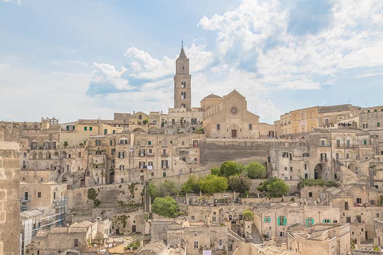 (Olio evo e Basilicata, tesori capitali)