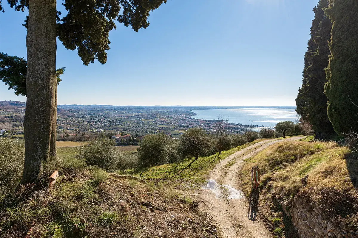 Una strada dell'olio sul Garda, da fare anche in bicicletta