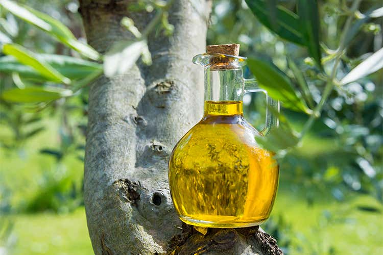 L’olio italiano conquista il mondo Ad Expoliva premi per gusto e design L’olio italiano conquista il mondo Ad Expoliva premi per gusto e design