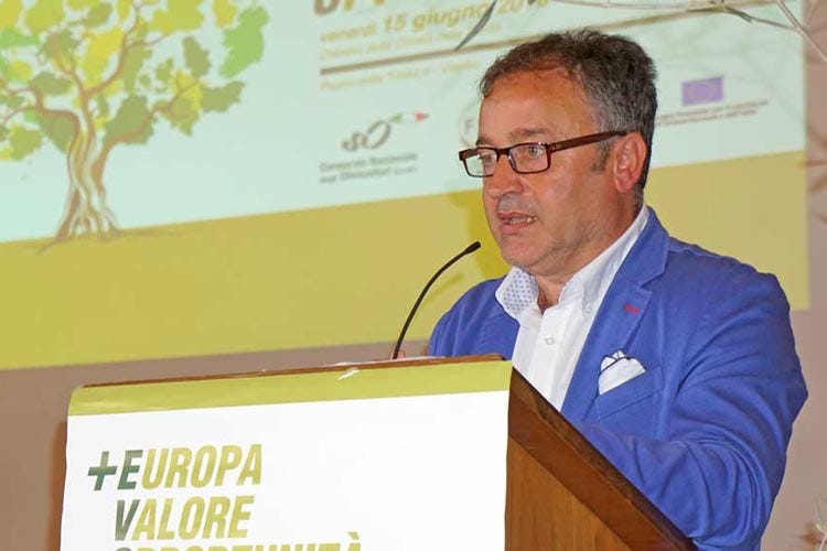 Fabrizio Pini - Olio, l'Italia perde 1/3 del raccolto Male la Puglia, balzo in Lombardia