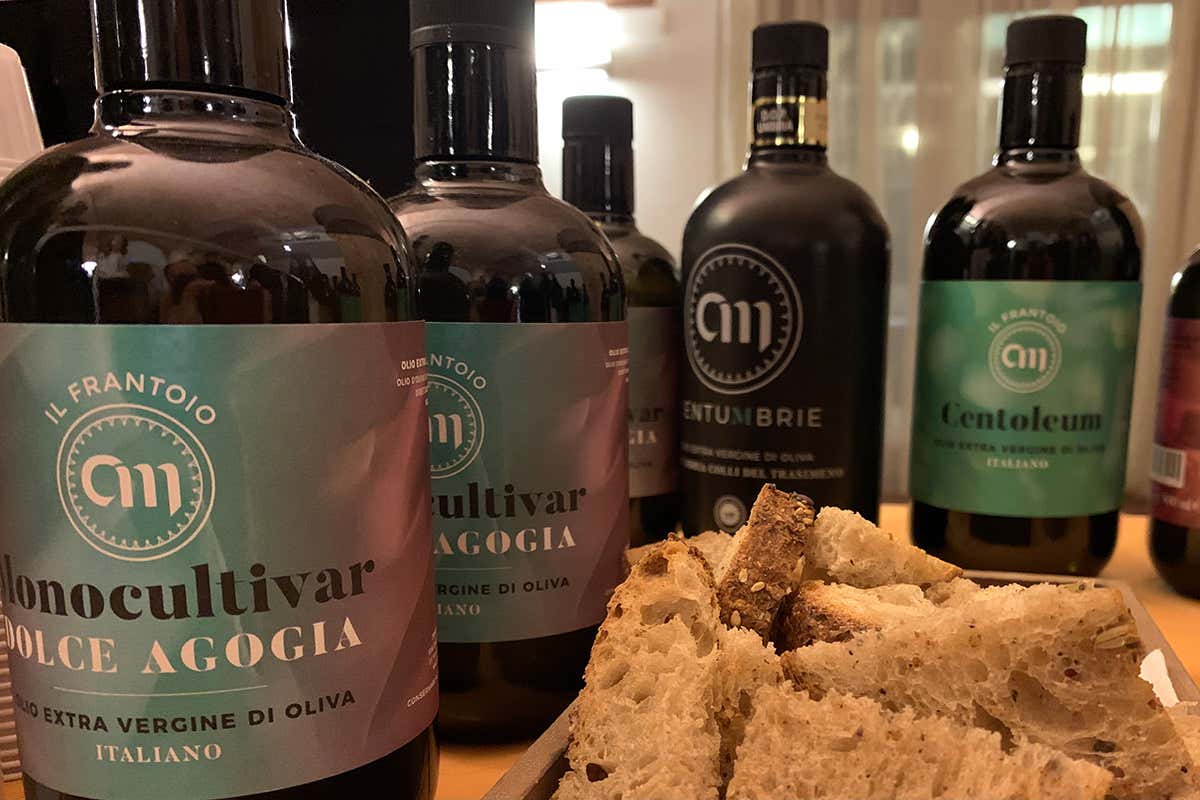 Oli Centumbrie Longino