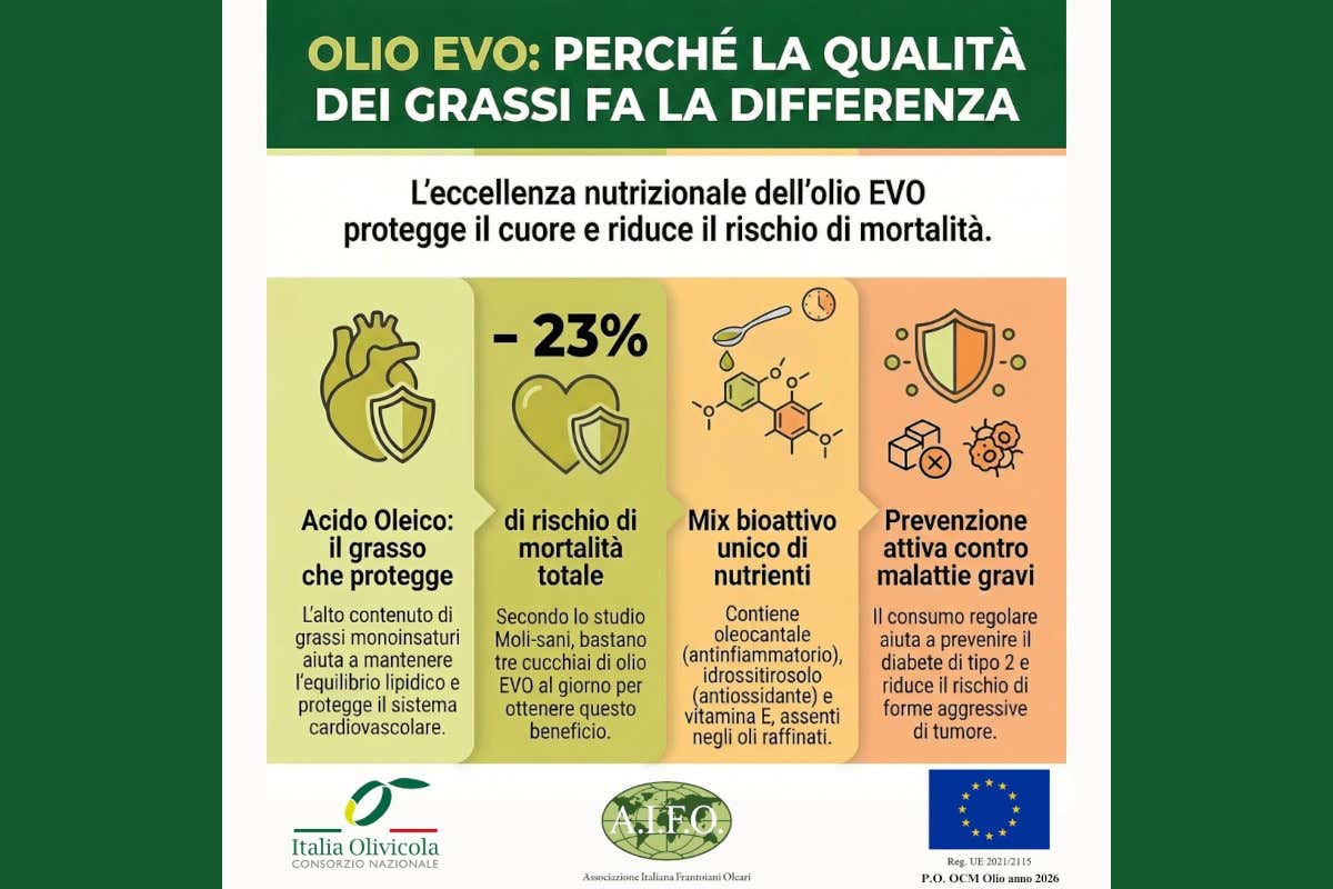 Il consumo quotidiano di olio evo riduce del 23% il rischio di morte