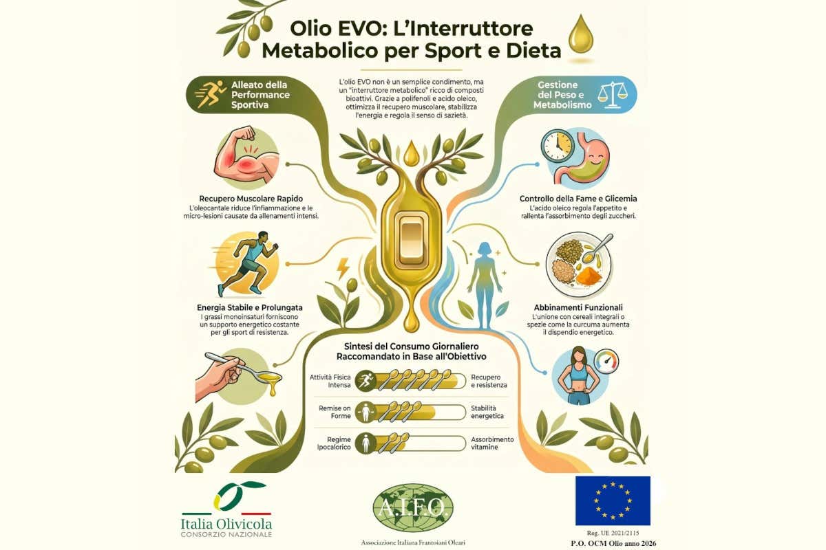 Metabolismo, energia e recupero muscolare: l’olio evo guarda anche allo sport