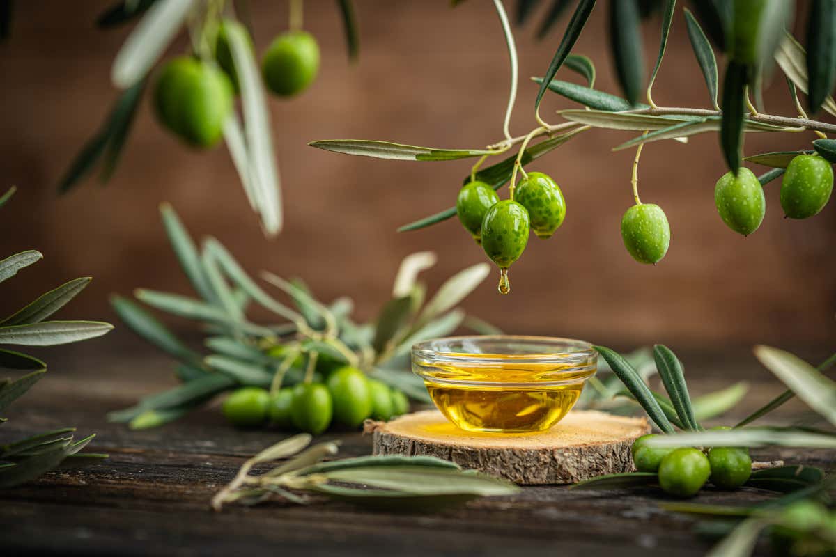 Metabolismo, energia e recupero muscolare: l’olio evo guarda anche allo sport