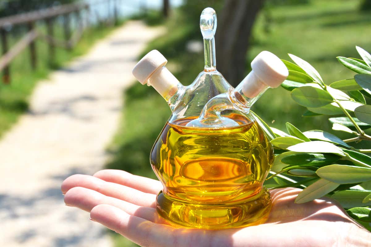 Olio del Garda e del Sebino, resa in crescita ma produzione dimezzata