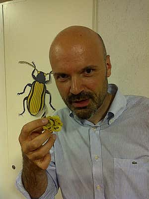 Davide Oltolini