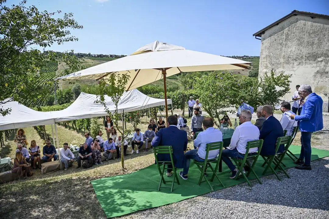 Oltrep&ograve;, a Montescano (Pv) il via ufficiale alla vendemmia 2021 Oltrep&ograve;, avviata la vendemmia del rilancio. Attese positive per Bonarda e Metodo classico