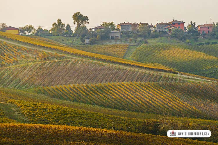 Obiettivo raccontare l'Oltrepoò con occhi nuovi - In Oltrepò Pavese con nuovi occhi Al via il contest fotografico Obiettivo raccontare l'Oltrepoò con occhi nuovi - In Oltrepò Pavese con nuovi occhi Al via il contest fotografico