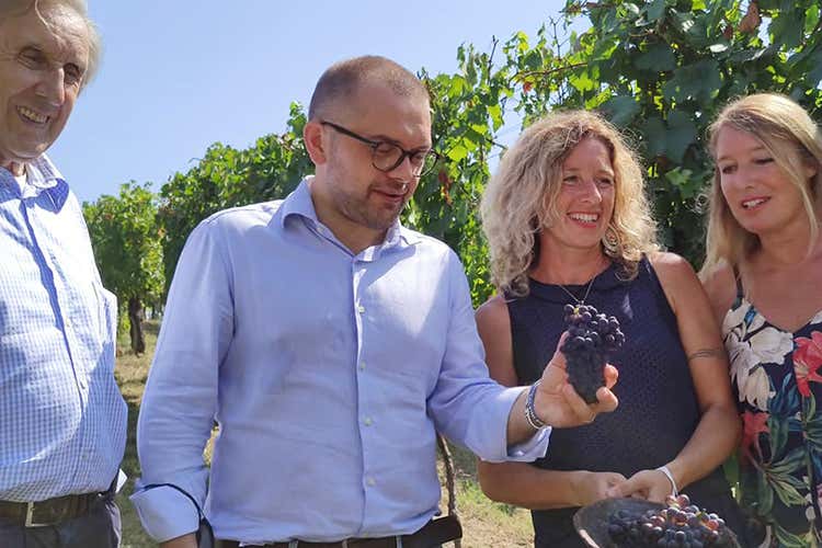 La visita dell'Assessore Fabio Rolfi - Oltrepò, scontro sul costo dell’uva Via alla vendemmia con polemiche La visita dell'Assessore Fabio Rolfi - Oltrepò, scontro sul costo dell’uva Via alla vendemmia con polemiche